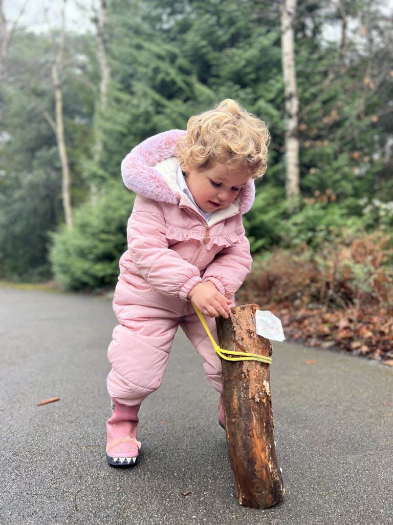 Kindergarten Log Dog