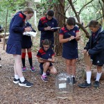 TH-Y6-Outdoor-Wonder-dome-lesson-2023-15