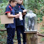 TH-Y6-Outdoor-Wonder-dome-lesson-2023-16