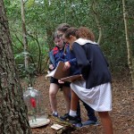 TH-Y6-Outdoor-Wonder-dome-lesson-2023-19