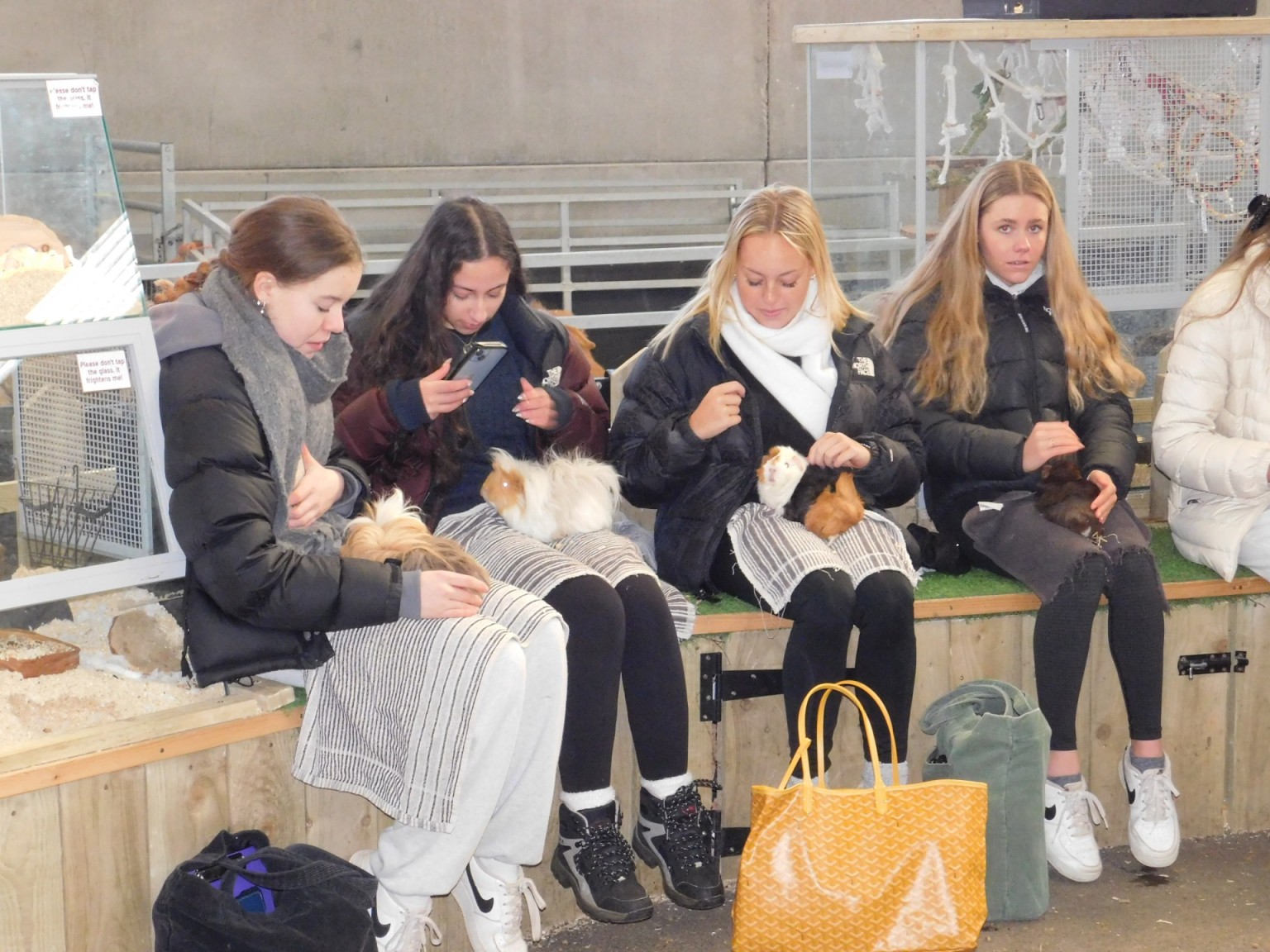 Down on the Farm Lower 6 Enjoy Farmer Palmers Talbot Heath