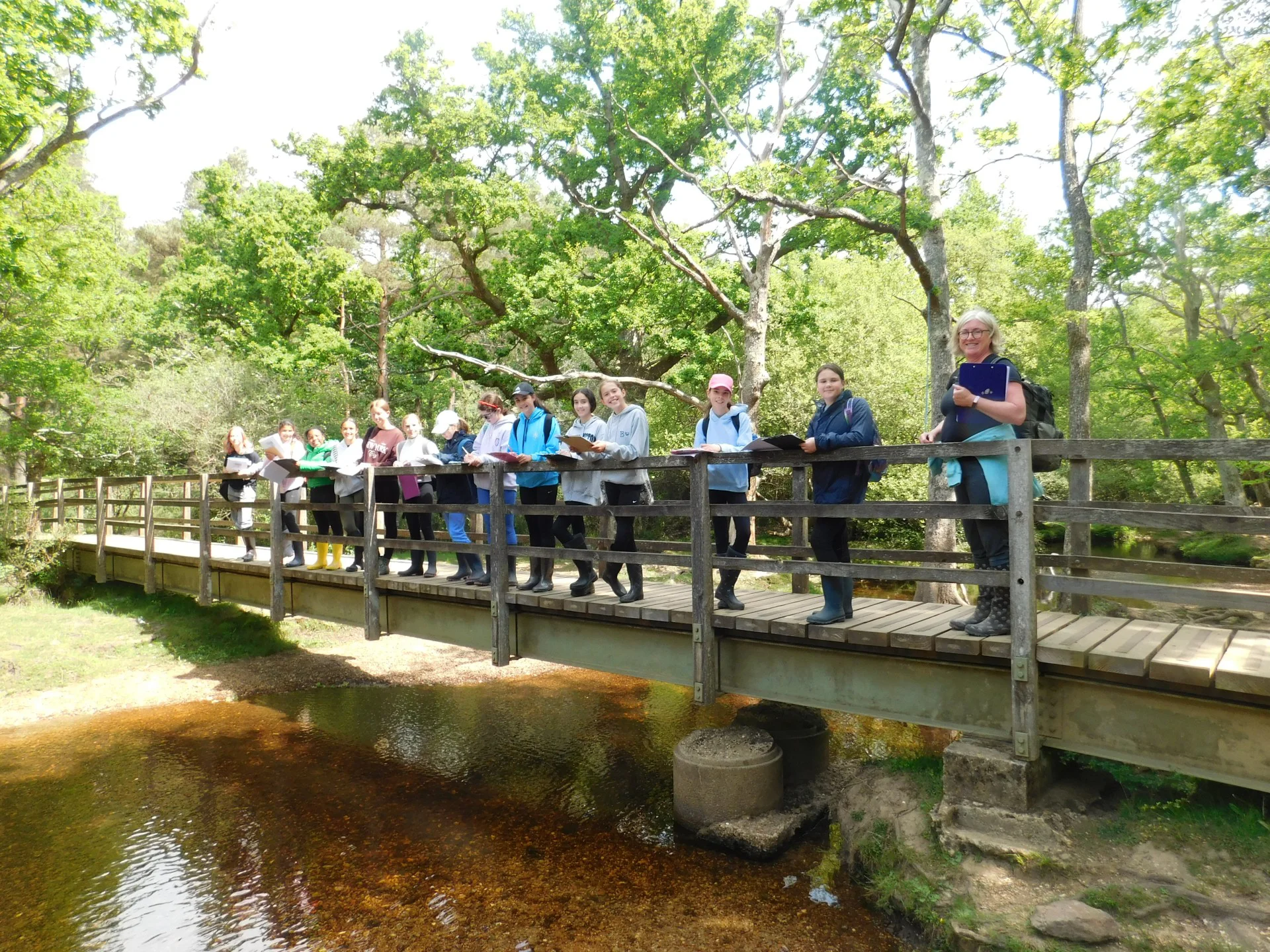 New Forest 4