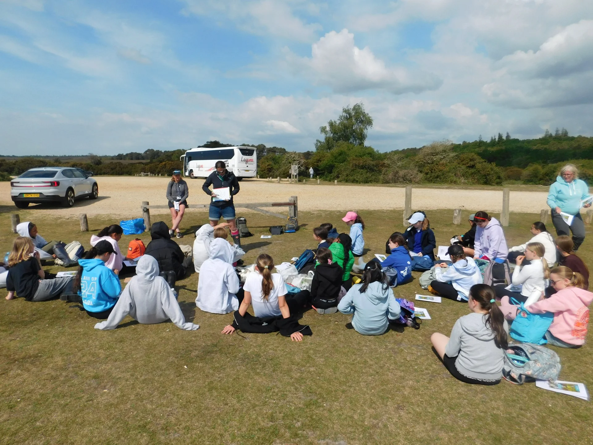 New Forest 1
