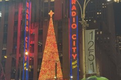 New-York-Dec-2024-11