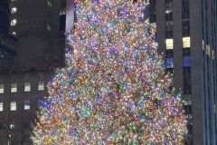 New-York-Dec-2024-12