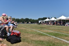 Senior-Sports-Day-2025-3